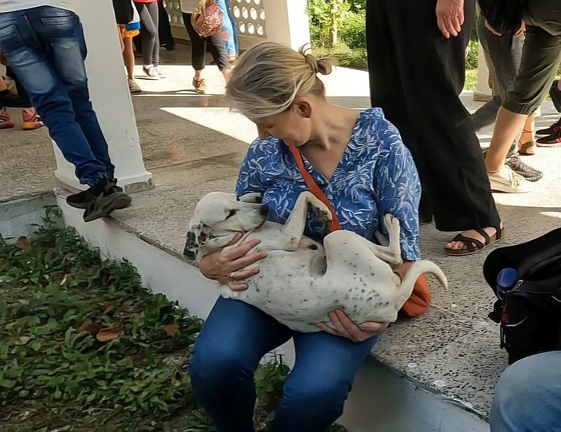 Bericht vom HCH Tierschutzprojekt der HCH