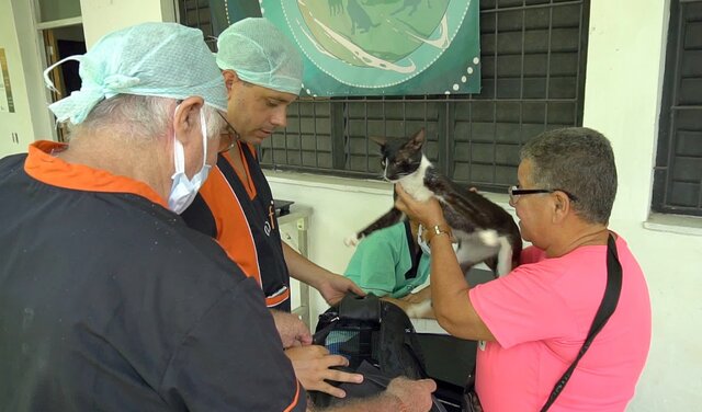Bei der 8. PROBAF Tierschutzkampagne in Pinar del Rio wird Tieren geholfen.